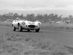 Jaguar D-Type 1955 года